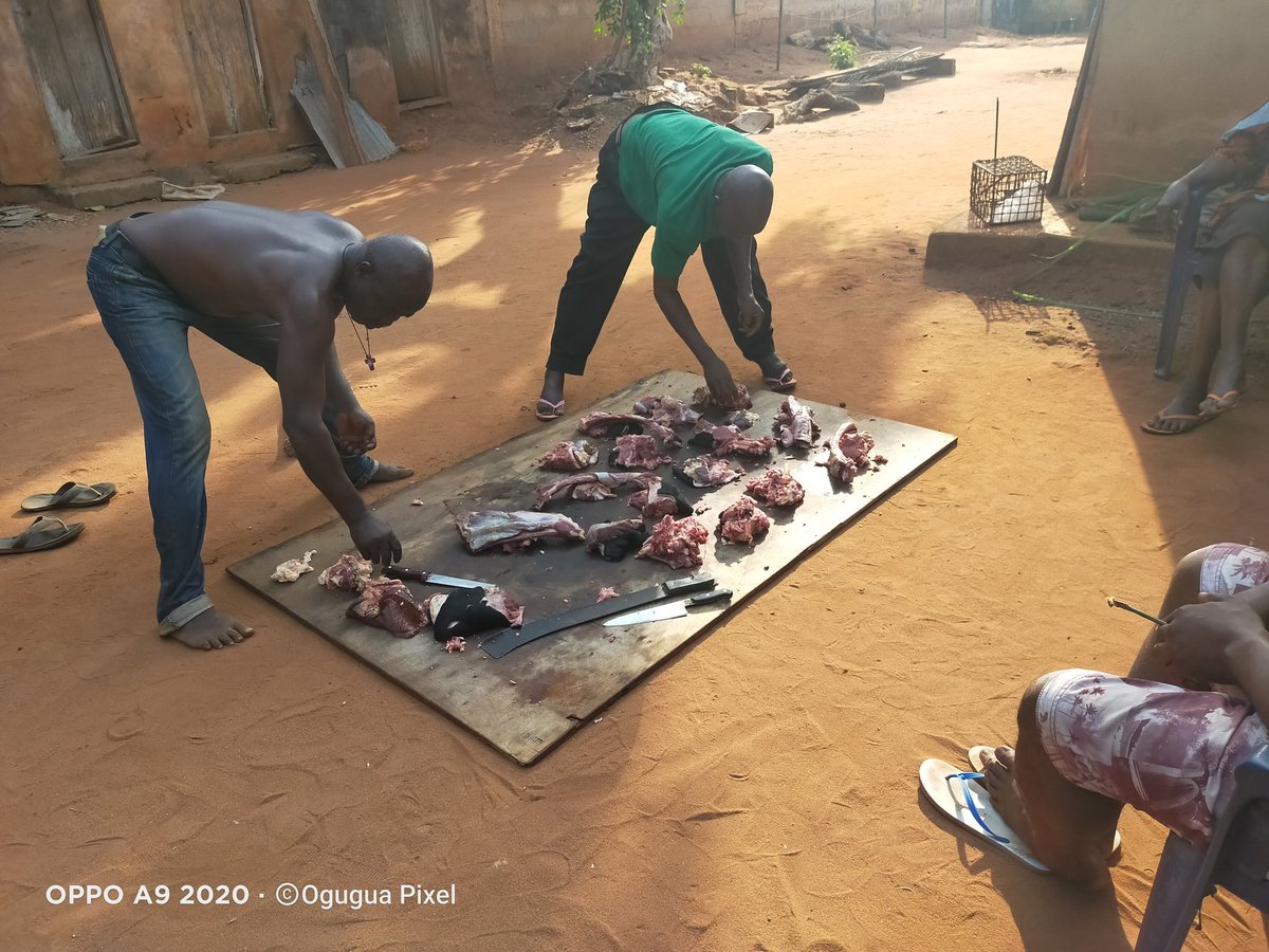 gogeafrica's tweet image. Photo credit: @coal_city

#travel #tours #indigenouspractices #culture #culturalpractice #tourism #domestictourism #igboland #igboculture #kins #kinship