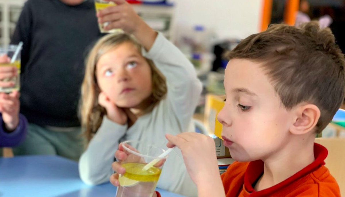 lfsevilla's tweet photo. Recordamos uno de los últimos #experimentos que hicimos en #Infantil / #GrandeSection para que nuestros alumnos conozcan el concepto de #solubilidad y comprueben por ellos mismos qué alimentos son solubles y cuáles no. 

#MicoleEsUnico #colegio #EducacionInfantil #ciencia https://t.co/ngH57C7mxu