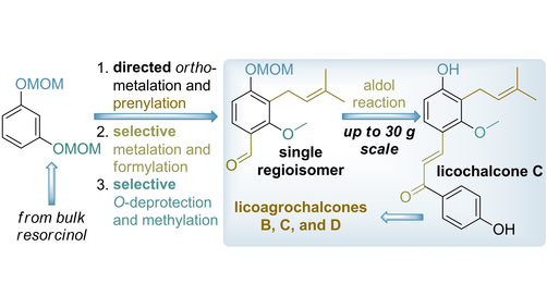 EurJOC's tweet photo. Regioselective and Scalable Total Synthesis of Licochalcone C and Related Licoagrochalcones by @DrGregor2 and co-workers (@BVashchenko @EnamineLtd @KyivUniversity) https://t.co/Xt3Tk2f4lH https://t.co/3YgmsgKWSD