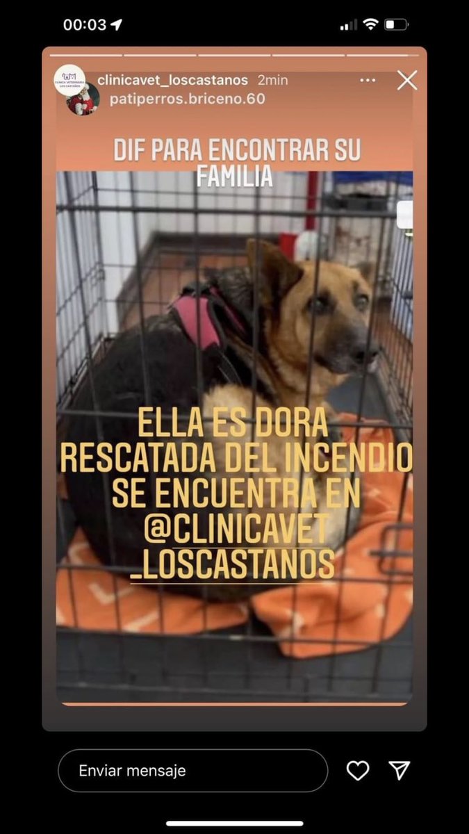 Blanquita Montt tweet media