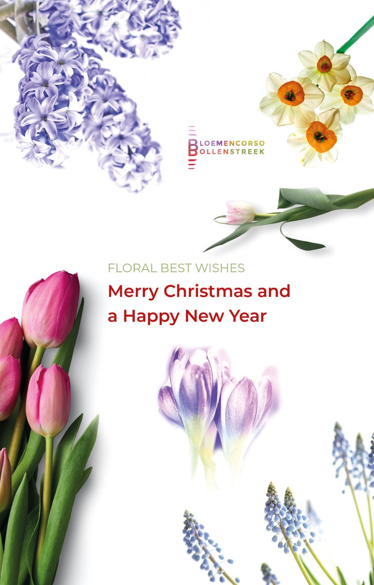 Bloemencorso Bollenstreek (@hetbloemencorso) on Twitter photo 