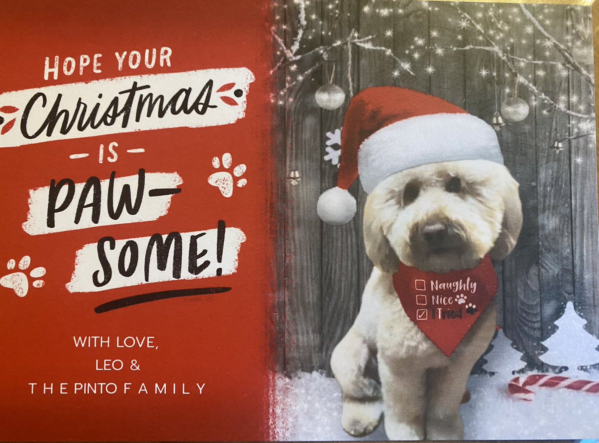 Have a Paw-Some Christmas, Hawk Nation! 🎄🎁