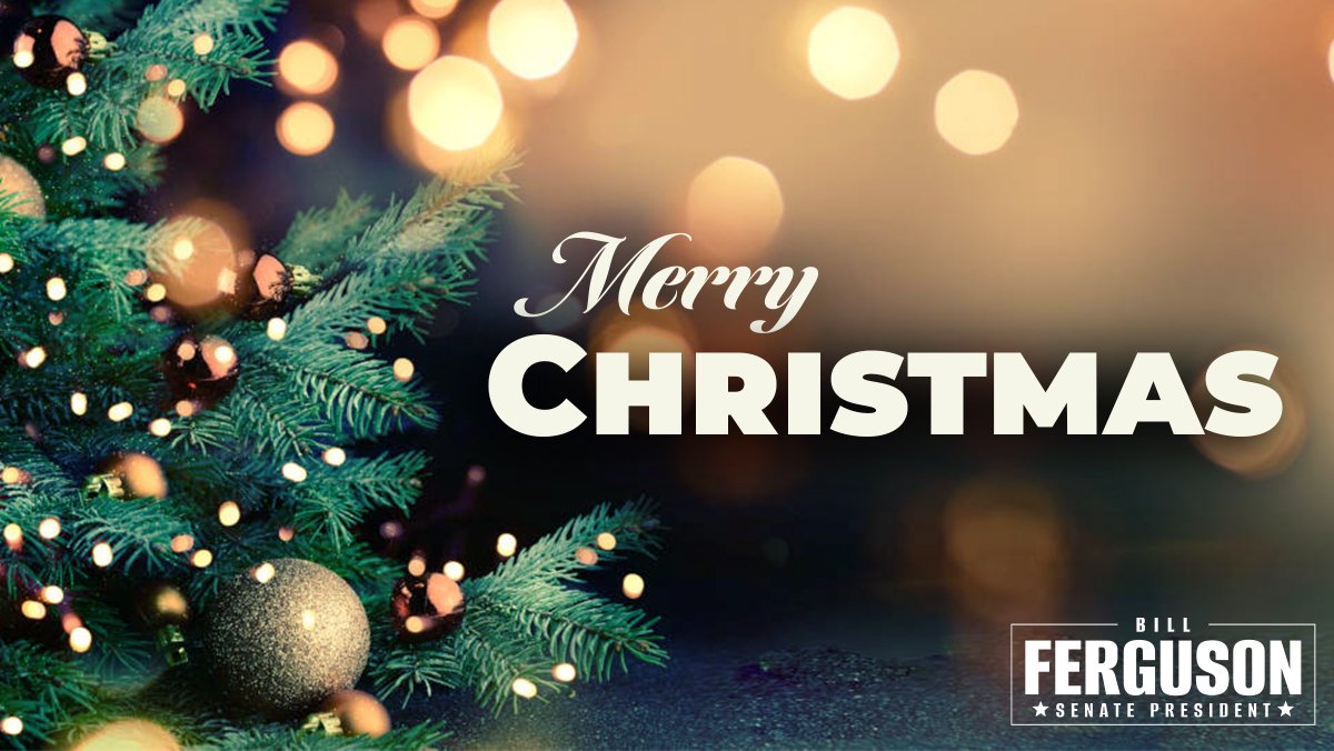 Merry Christmas from my family to yours!🎄