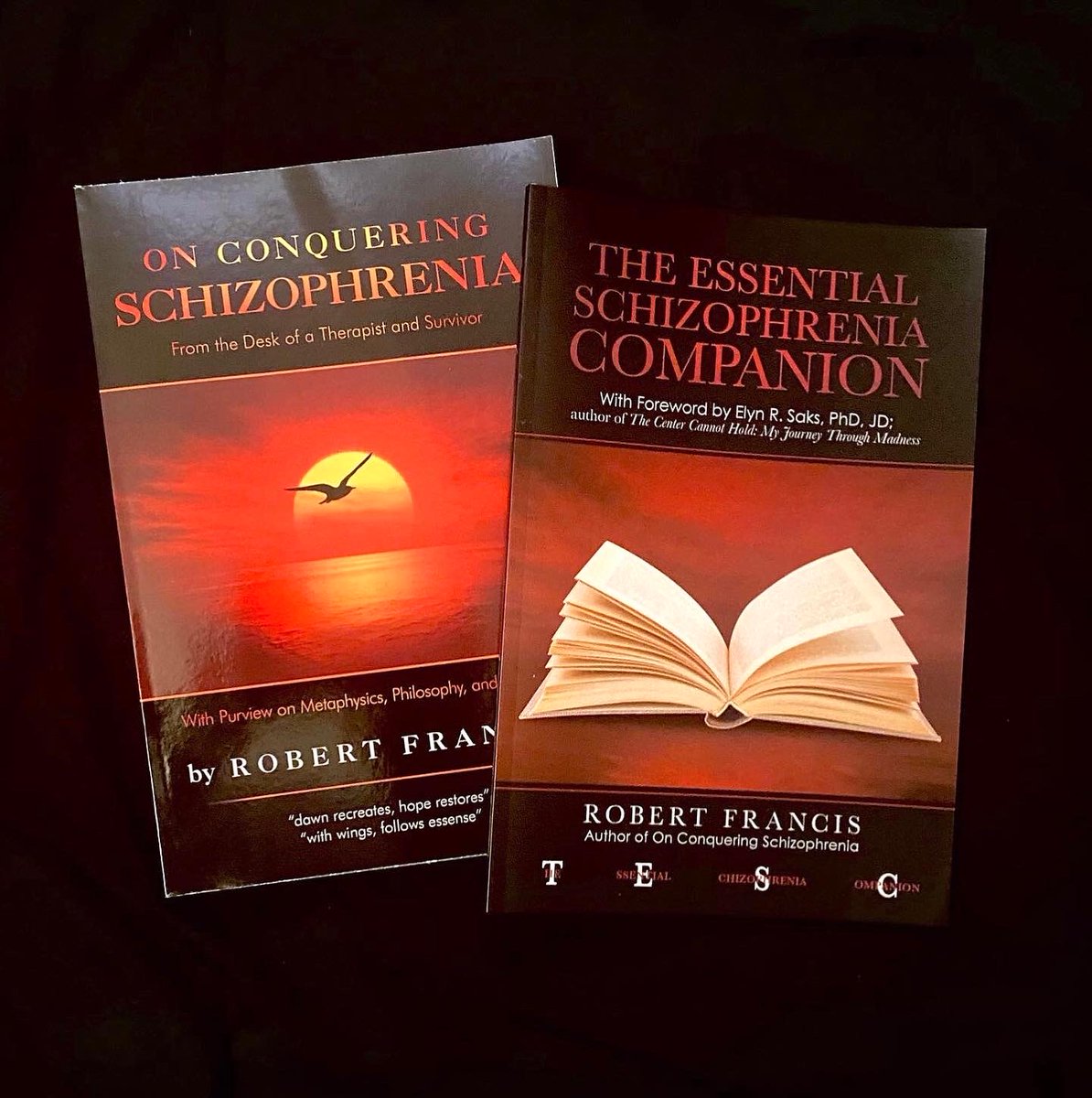 Robert Francis, LCSW (therapist) and author (x6) tweet media