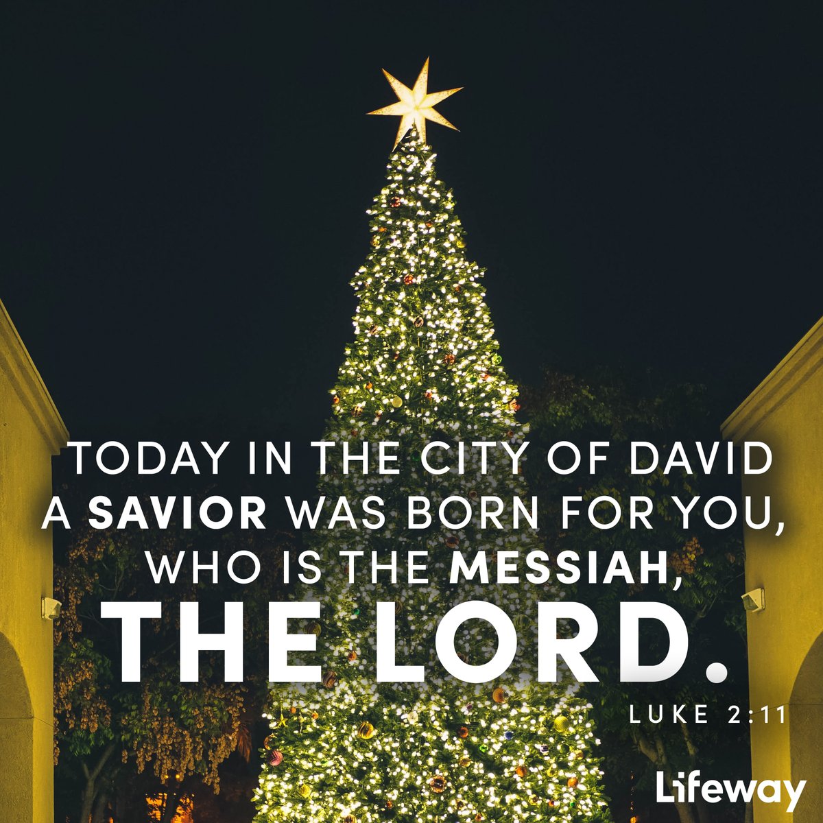 Lifeway's tweet photo. A Savior was born for you! 🎄 May the miracle of Christmas fill your heart with peace, hope, love, and joy as we celebrate the birth of our Lord and Savior, Jesus Christ!

Luke 2:11 (@CSBible) https://t.co/o7UJWDOmia
