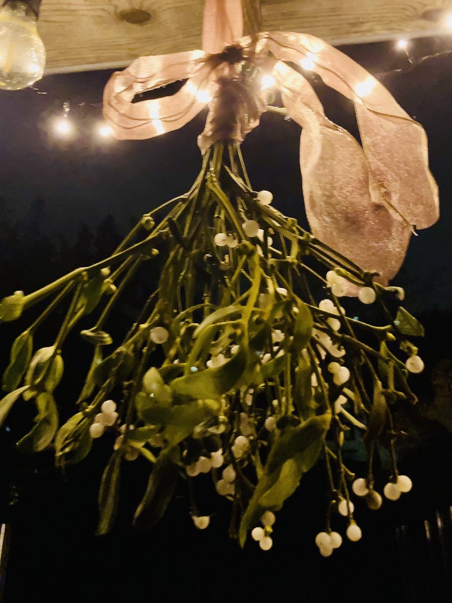 Ellen de Swart (@ellendeswart) on Twitter photo 