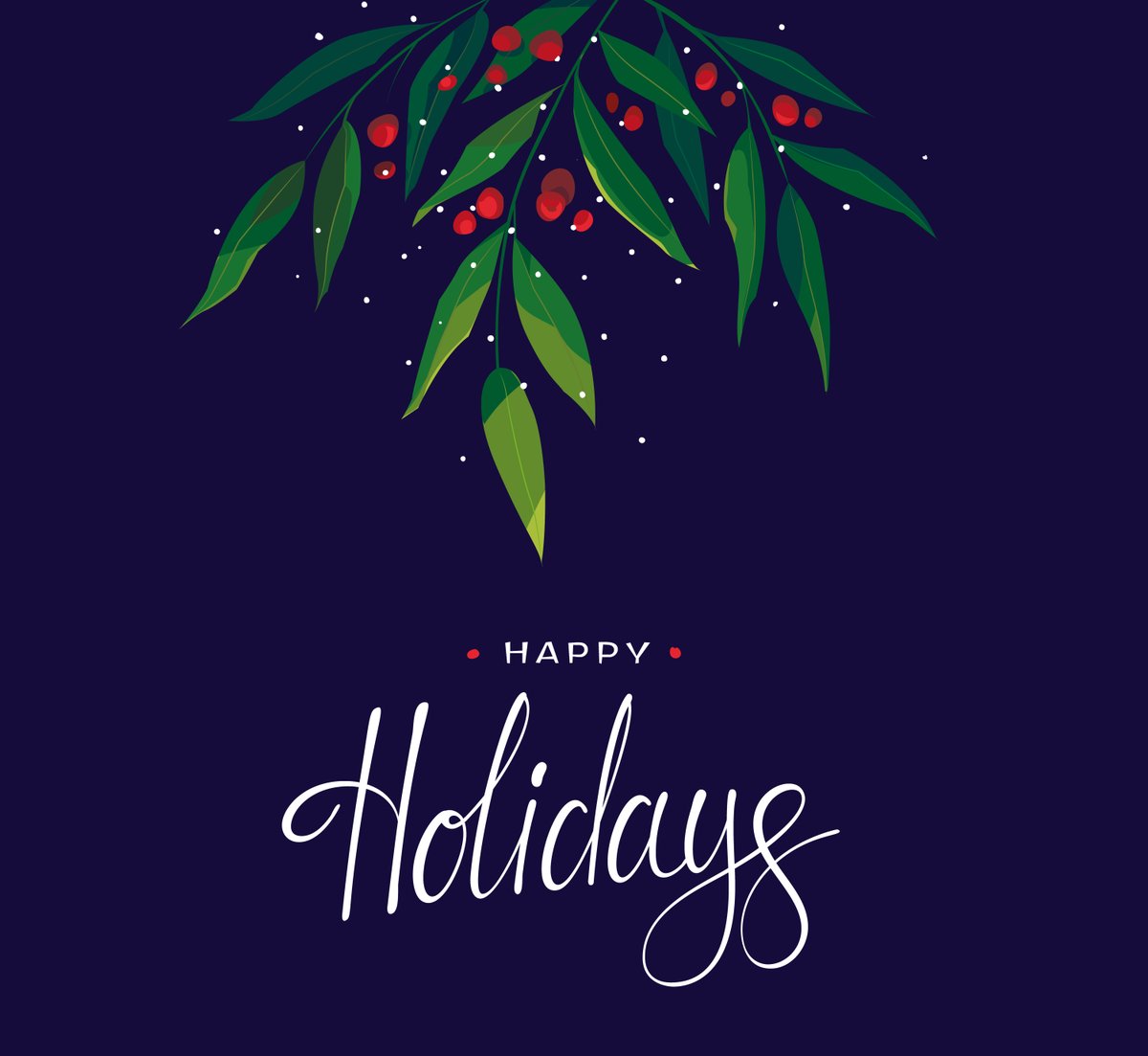 PolarImaging's tweet photo. Happy Holidays! https://t.co/eIDvExlDWm