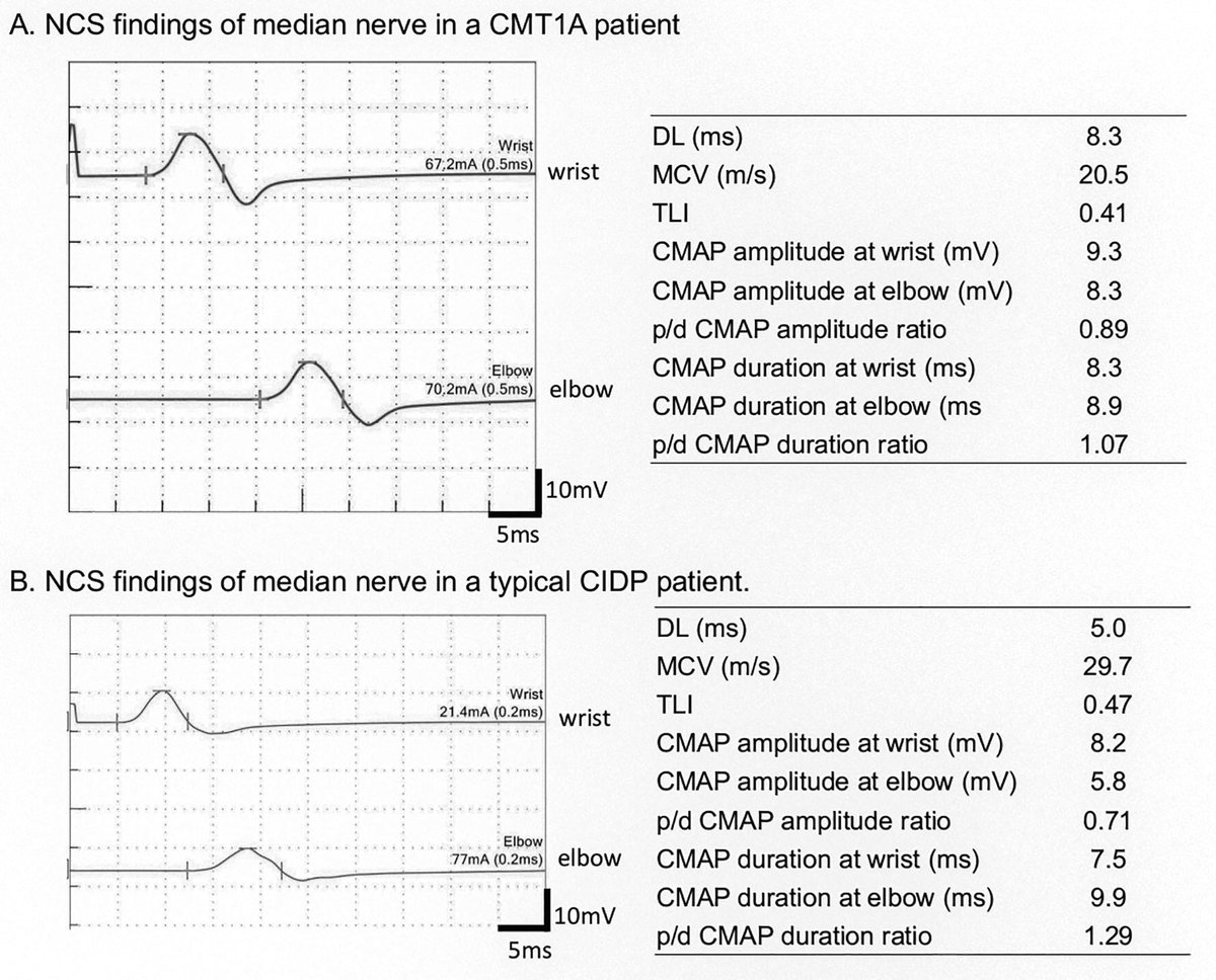 IFCN and its Clinical Neurophysiology journals tweet media