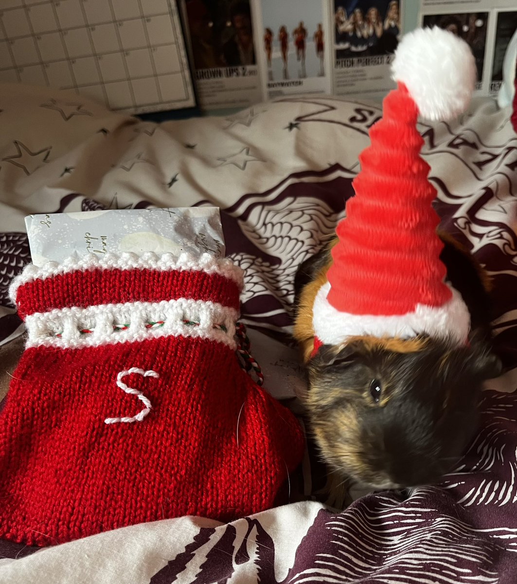 tjtracey79's tweet photo. Merry Christmas everyone from Sausage and Chips 🎅🏼@SpringvalePS https://t.co/Zu6FsXfb7H