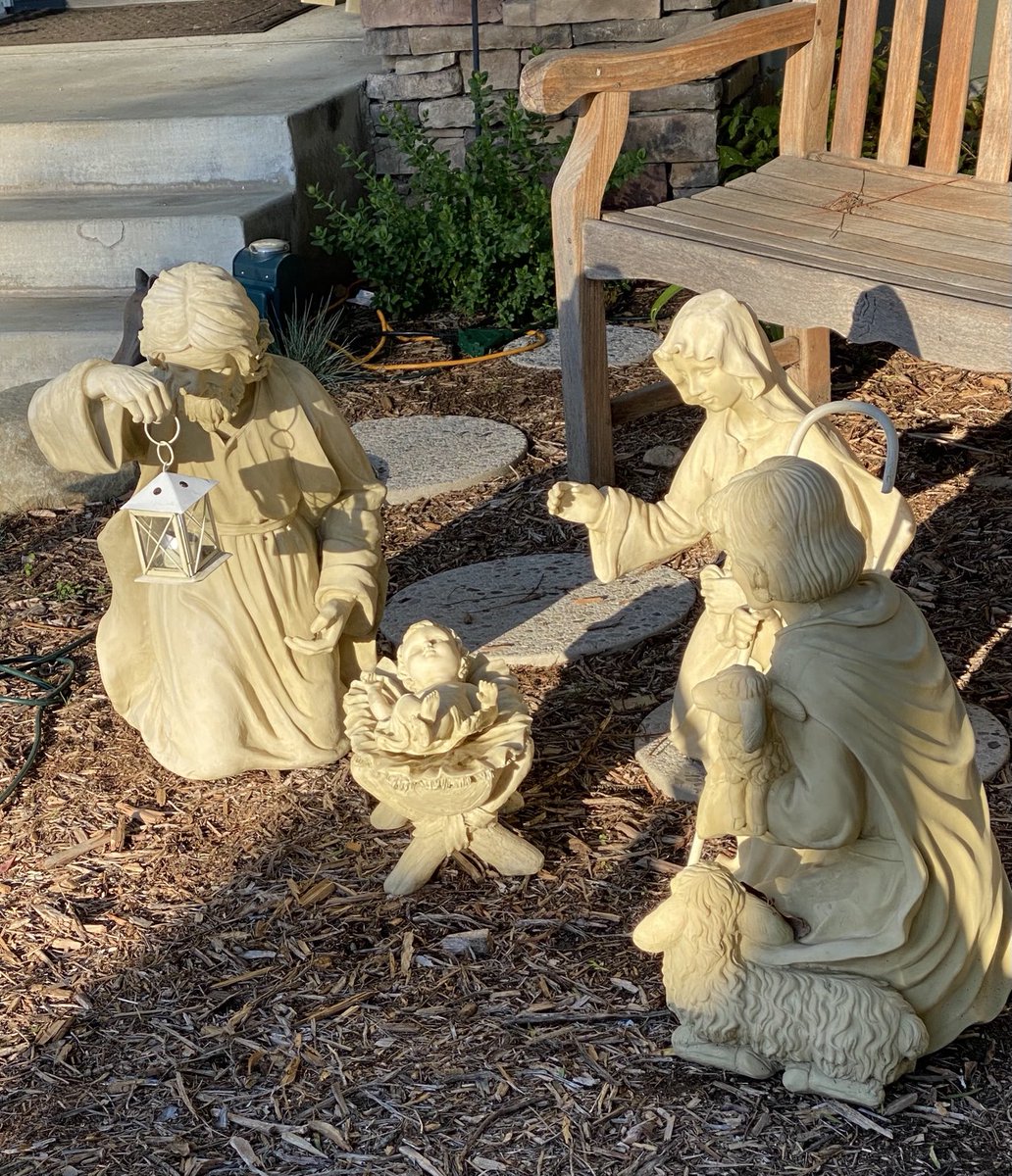 DrRPalmquist tweet media