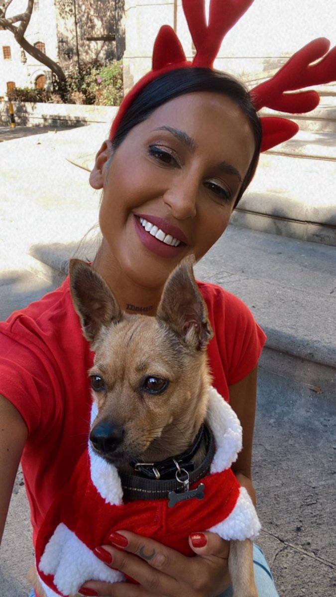 Feliz Navidad from Gran Canaria. 

Merry Christmas from Gypsy and I ❤️🎄🥰🐾🥂💫