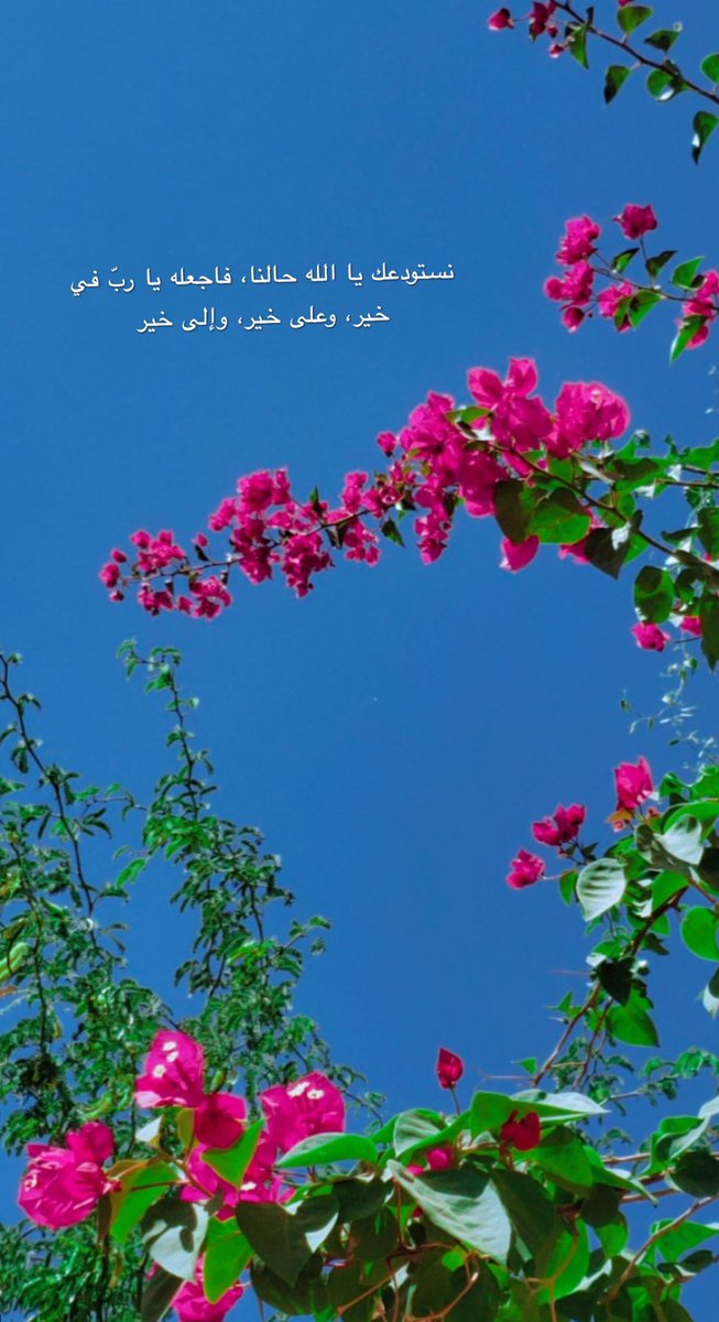 #نستودعك يا الله حالنا، فاجعله يا ربّ في خير