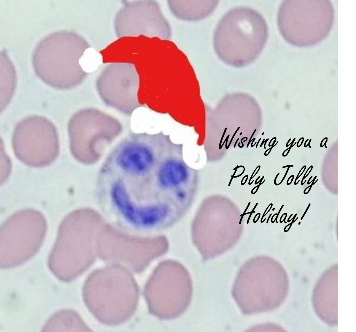 Johns Hopkins Hematology (@hopkinsheme) on Twitter photo From our <a href="/HopkinsHeme/">Johns Hopkins Hematology</a> family to yours, we wish you a very Happy Holiday!!
#PolyJollyHoliday #HemeDreamTeam From our <a href="/HopkinsHeme/">Johns Hopkins Hematology</a> family to yours, we wish you a very Happy Holiday!!
#PolyJollyHoliday #HemeDreamTeam
