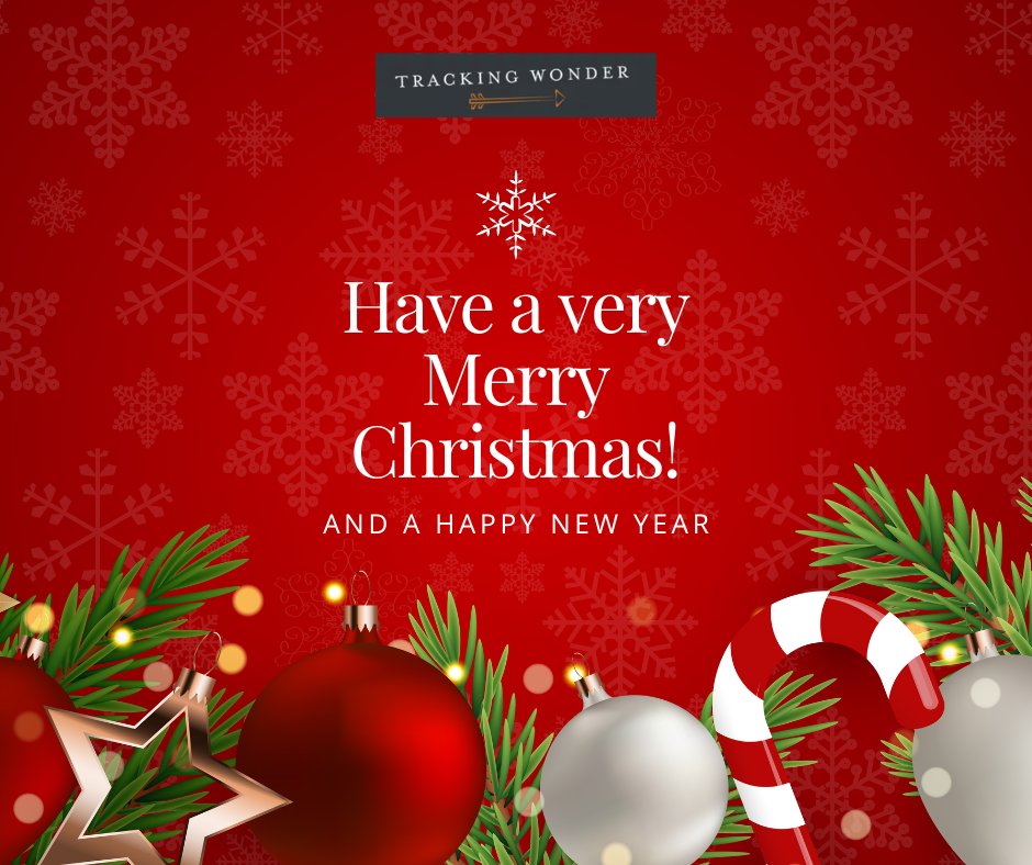 JeffreyDavis108's tweet photo. Here's to a very Merry Christmas and a Happy New Year. ❤️❤️❤️
#christmas #wonder #trackingwonder #newyear https://t.co/zjqe7lqZYB