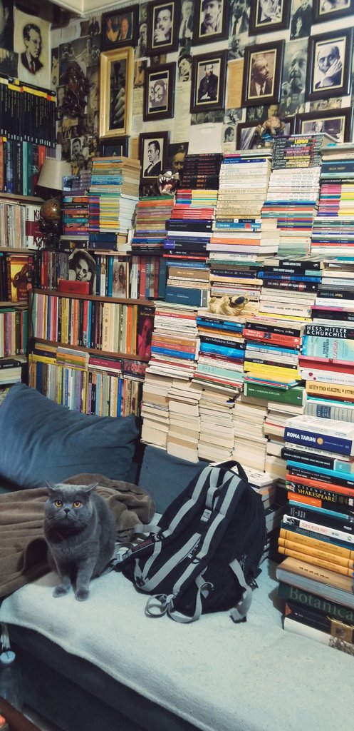 Tapınak Sahaf olarak takip ve retweetlerinize talibiz. 🙏
Belki aradığınız kitap bizdedir. 🤗
Şu aşağıdaki kıllı arkadaşın da selamı var.