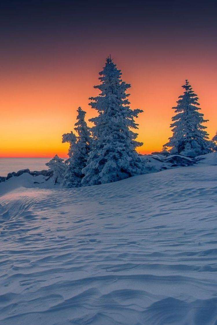 Good morning and Merry Christmas everyone