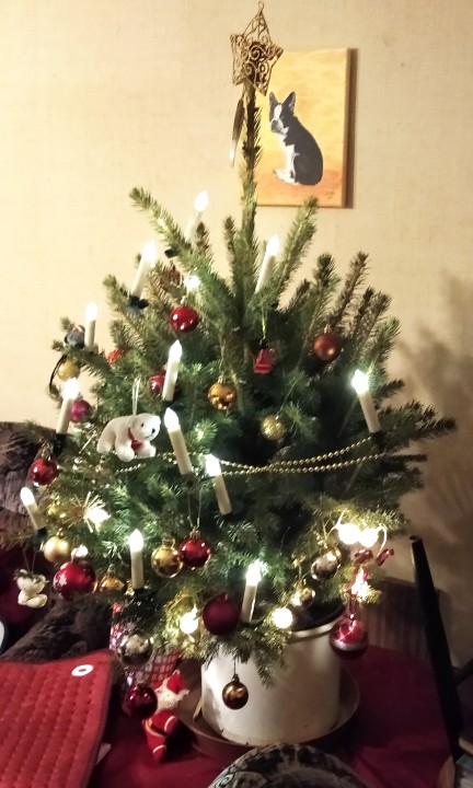 dr_obst's tweet photo. Happy Christmas 🎄☺️ https://t.co/SAs7Wjv8VL