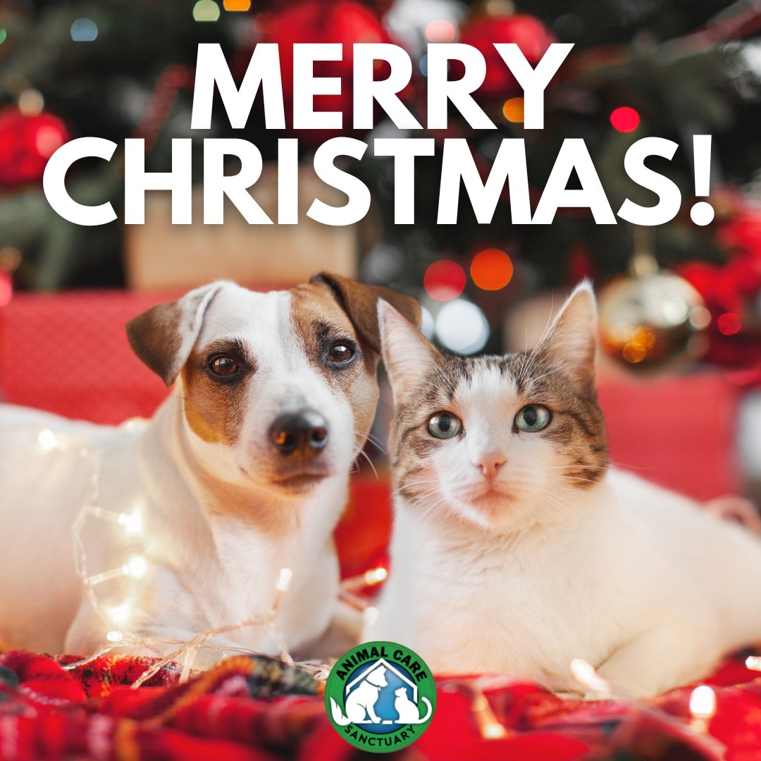 AnimalCareSanctuary (@AnimalCareSanct) / Twitter AnimalCareSanctuary (@AnimalCareSanct) / Twitter