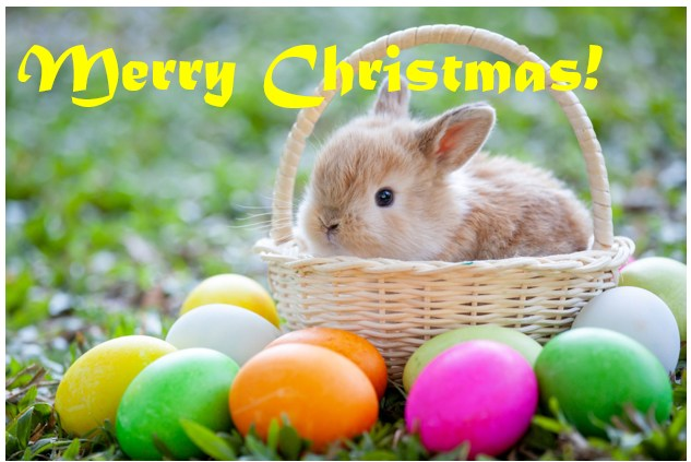 Merry Christmas everyone!