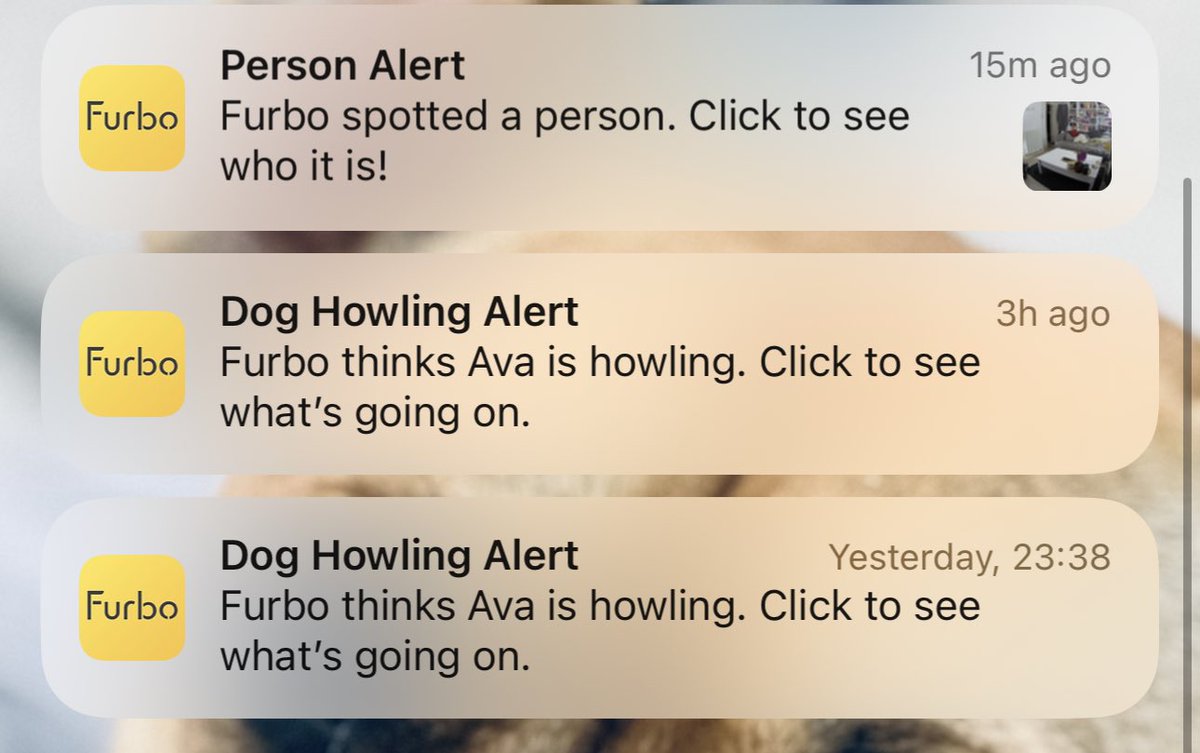 C A S P A R tweet media