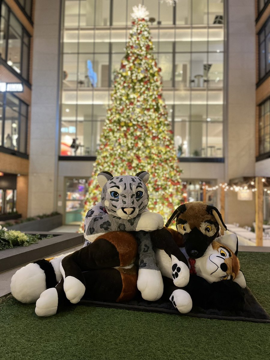 You never know what you’ll wake up to on #ChristmasDay These <a href="/PlushLife_eu/">PlushLife</a> are sure enjoying the Holidays #MerryChristmas