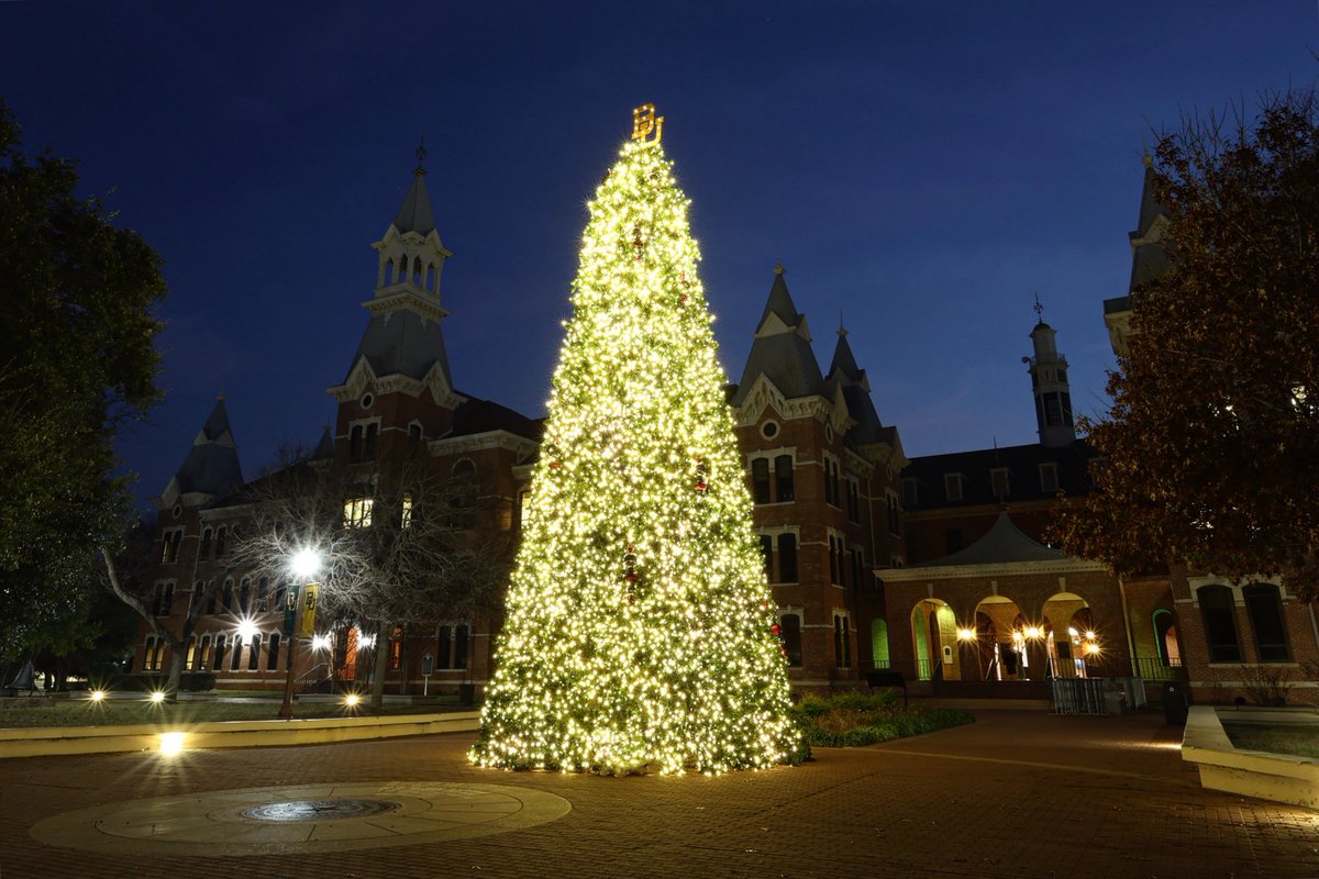 Merry Christmas, Bears! 🎄✨