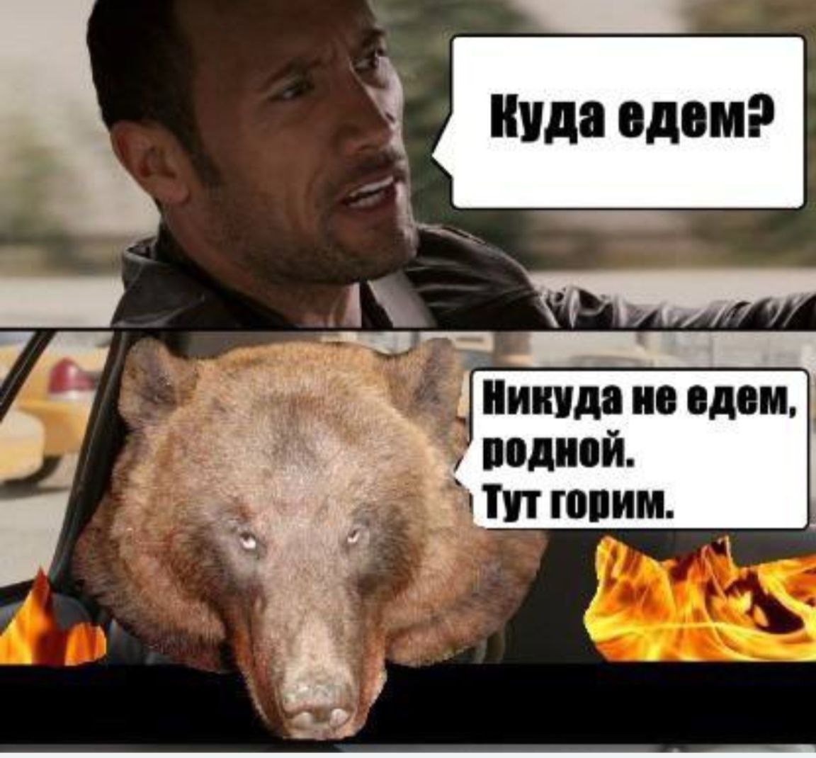 Медведь сел в машину и сгорел Мем