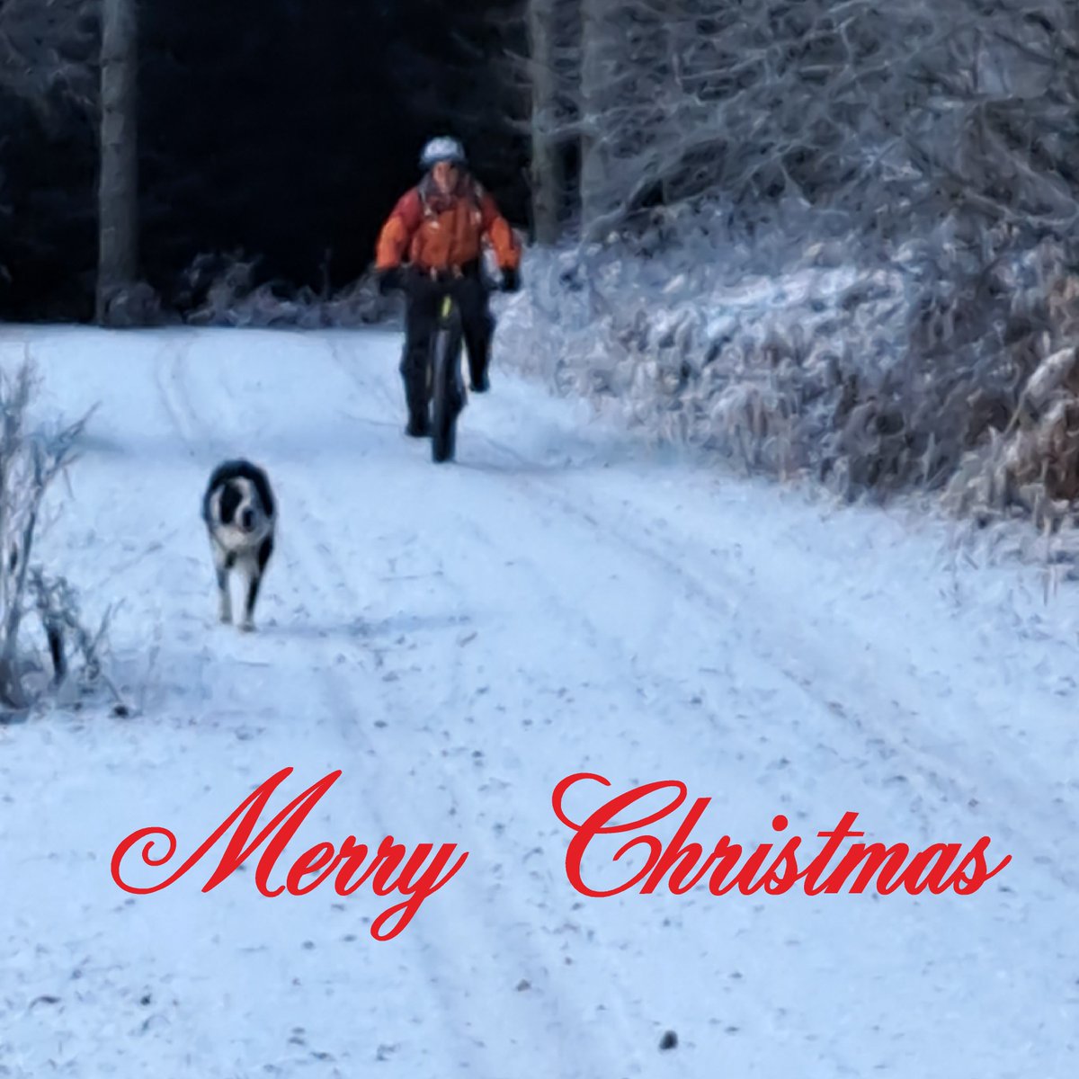 cycle4adventure's tweet photo. Merry Christmas everyone

From
Cycle4adventure https://t.co/Lnzl1Y6PYU