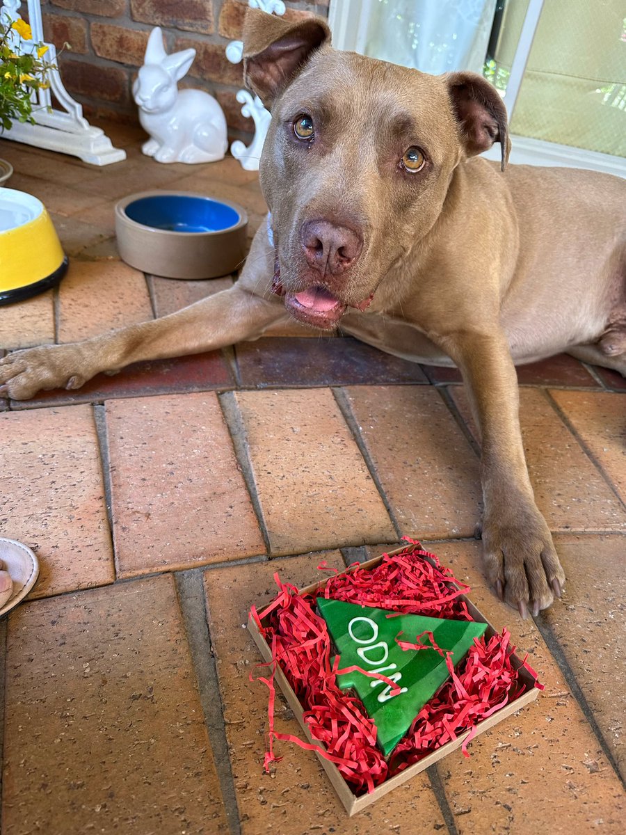 ThoughtsofOdin tweet media