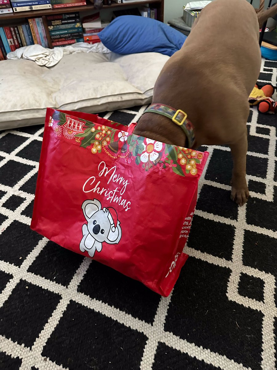 ThoughtsofOdin tweet media