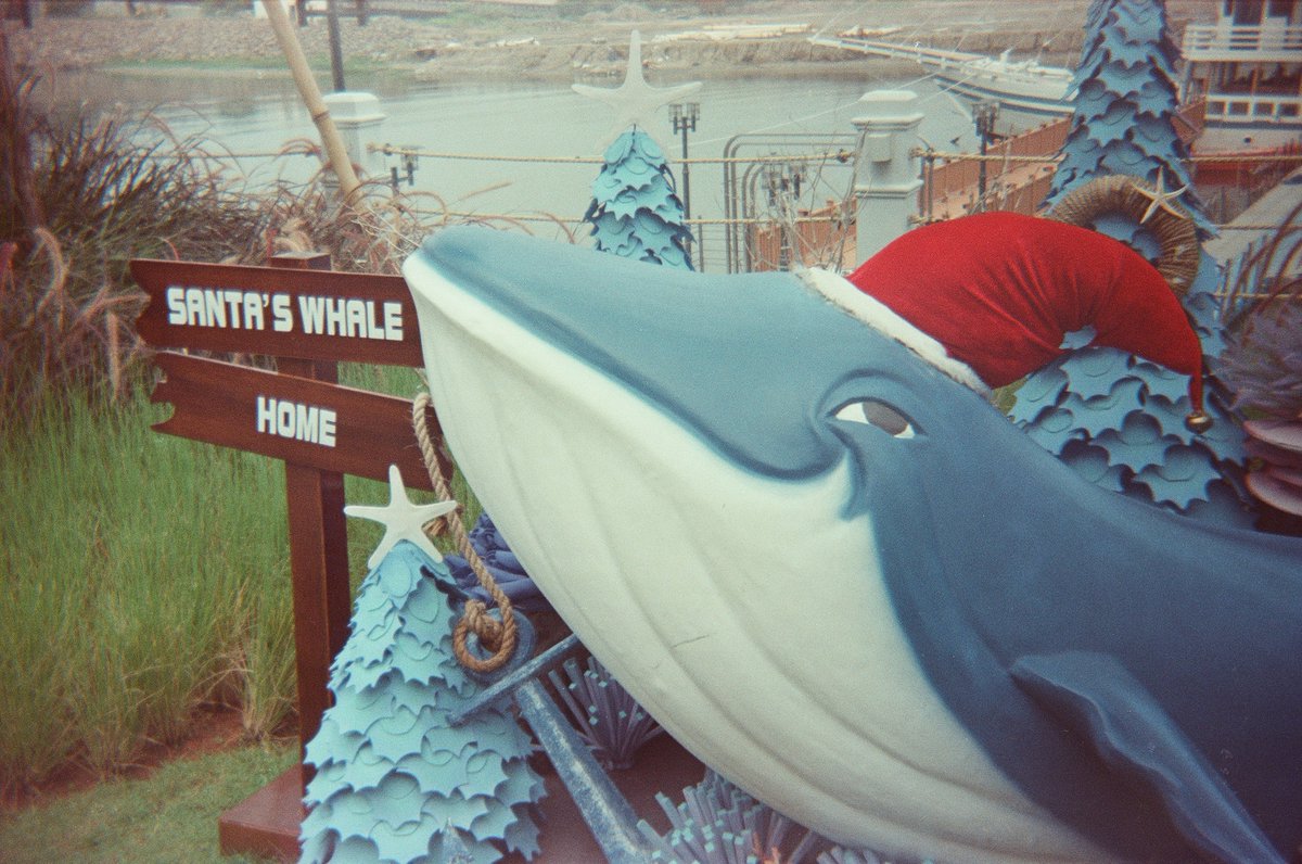 nuo2x2's tweet photo. this #Santa whale looks kinda sus tho... lmao #filmphotography #ishootfilm #filmisnotdead #expiredbutshot #smena35 #lomo #lomography #plasticlens #plasticcamera #toycam #Boen #tropicalChristmas #Christmas2022 #MerryChristmas2022 #Xmas #MerryXmas #nuo2x2 #nuo2x2toycam #lofi https://t.co/LShrGh34fm