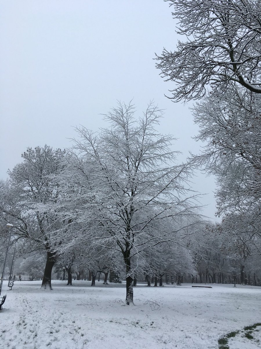 moss_side_eco's tweet photo. Merry Christmas Moss Side and all the litterpickers and greeners across the city and beyond. #MossSidePride #KeepManchesterTidy #KeepBritainTidy https://t.co/g4kiCgsKLk