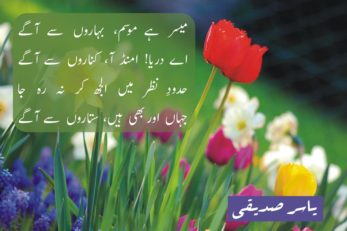 ysiddiqi's tweet photo. Muyassar hai Mosam Baharon se aagay
Ae darya umand aa kinaaron se aagay
Hudood e nazar me ulajh kr na reh ja
Jahan or bhi hain sitaaron se aagay https://t.co/aGJaEdhCBO