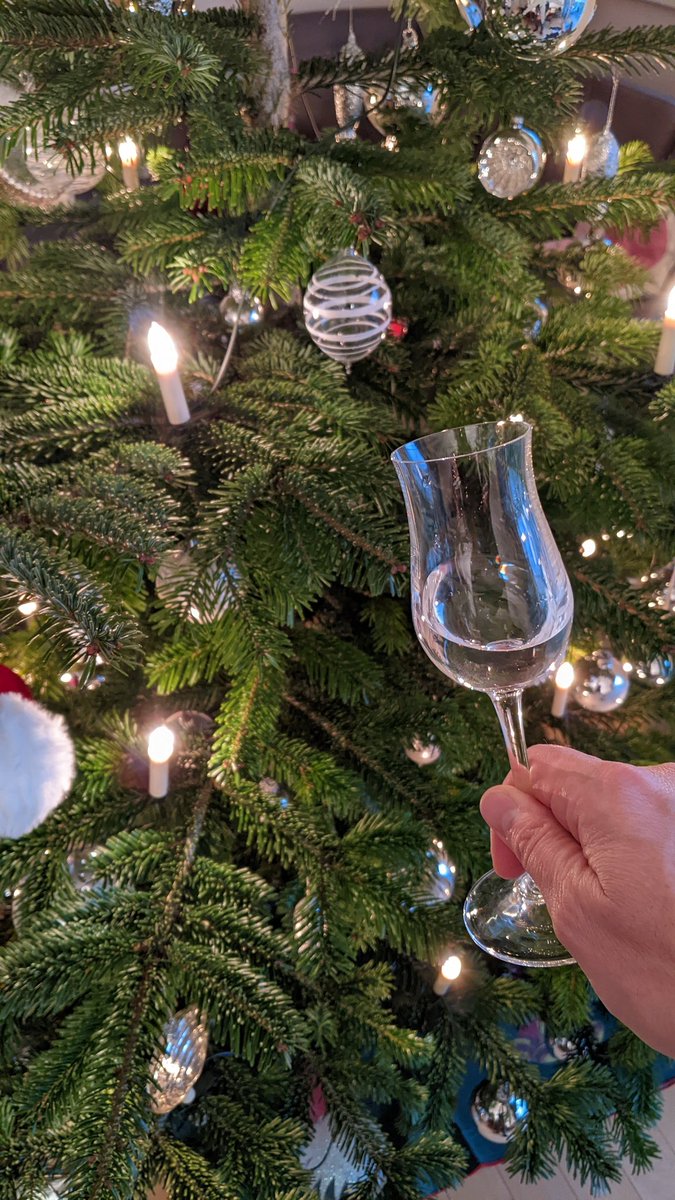 Liebe Vorarlbergerinnen und Vorarlberger, wir wünschen Ihnen und Ihren Lieben schöne Feiertage. 
Übrigens ist das ein sehr schöner Baum, den Sie da haben.