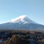 ツイートに含まれる画像