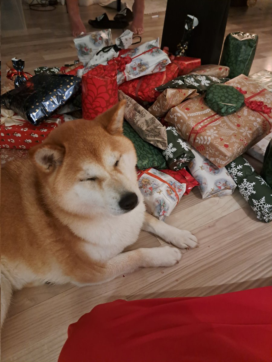 KaidaWrath tweet media