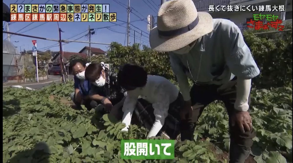 risa_taneda_'s tweet photo. 全女さんへ
僕より。 https://t.co/nesnrIGRyg