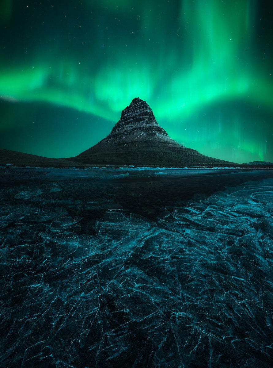 Gm gm and Merry Christmas 🎄