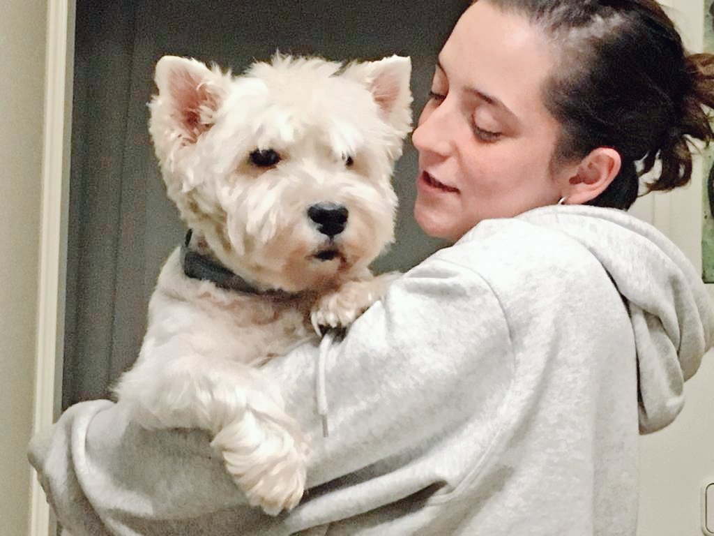 Dodie 🌻 tweet media