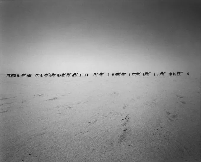 L'incroyable regard du photo reporter Raymond Depardon (Niger 1989, Caravane de chameaux)