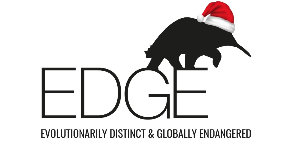 EDGEofExistence's tweet image. Merry Christmas and happy holidays from everyone at EDGE!
We hope you have a wonderful day 🎄
#EDGEofExistence #EDGEspecies #EDGEProgram