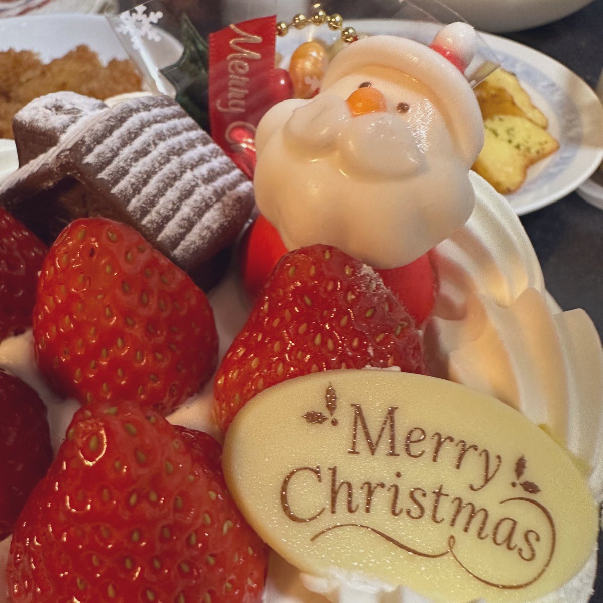 inachi_017's tweet photo. メリクリ🎄 https://t.co/PmSL9zq7m9
