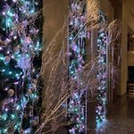 ツイートに含まれる画像