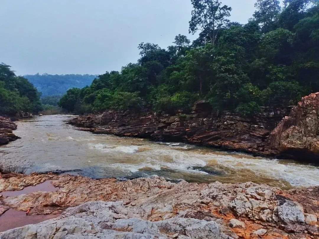 Kanger Dhara - the lifeline of Kanger Valley National Park.

As the Gypsy Safari makes a stop at this spot, let's take a moment to appreciate the gift of mother nature. 
Image Courtesy - <a href="/munna_baghel/">Munna Baghel</a>
#kangervalley #kangervalleynationalpark #kangerghati #nationalparksofindia
