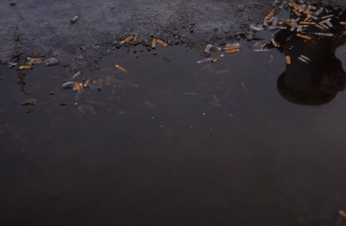 gleb_alexandrov's tweet photo. Everyone, you have to watch new @w_landgren's short, Impetus! It's the most beautiful thing I've seen, made in #b3d. Impeccable compositions, montage, vibe.

https://t.co/8riTkcD5SZ

#3d #movie https://t.co/1TM7fHEYHV