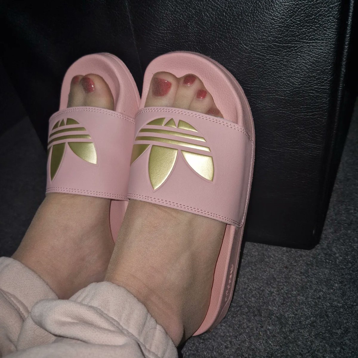 MelanieNylonCD's tweet photo. Adidas pink slides and pantyhose #feetworship #feet #feetfetiche #nylonfetish #pantyhosefetish #tightsfetish #crossdressinglife #crossdressing #crossdresser #transgender #transgirl #boytogirl #pinkslides #pinkslippers #cutefeet https://t.co/jVgVzGu8Ax