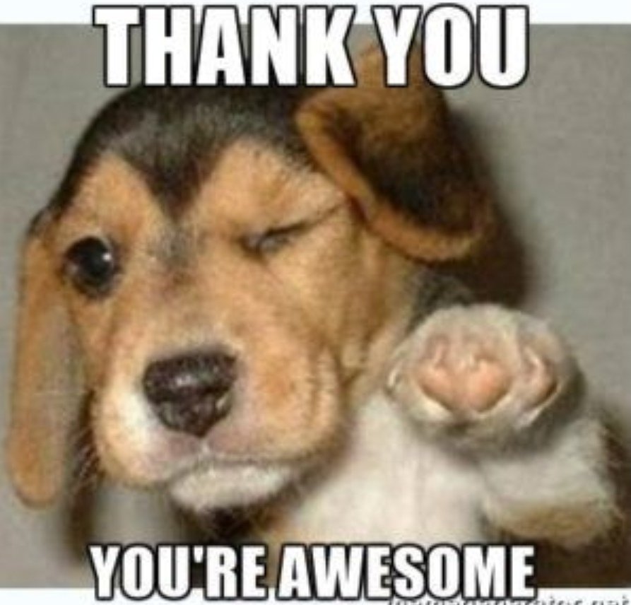 A big shout out to all nurses and vets working over the Christmas period. We salute you!👏👏👏💖