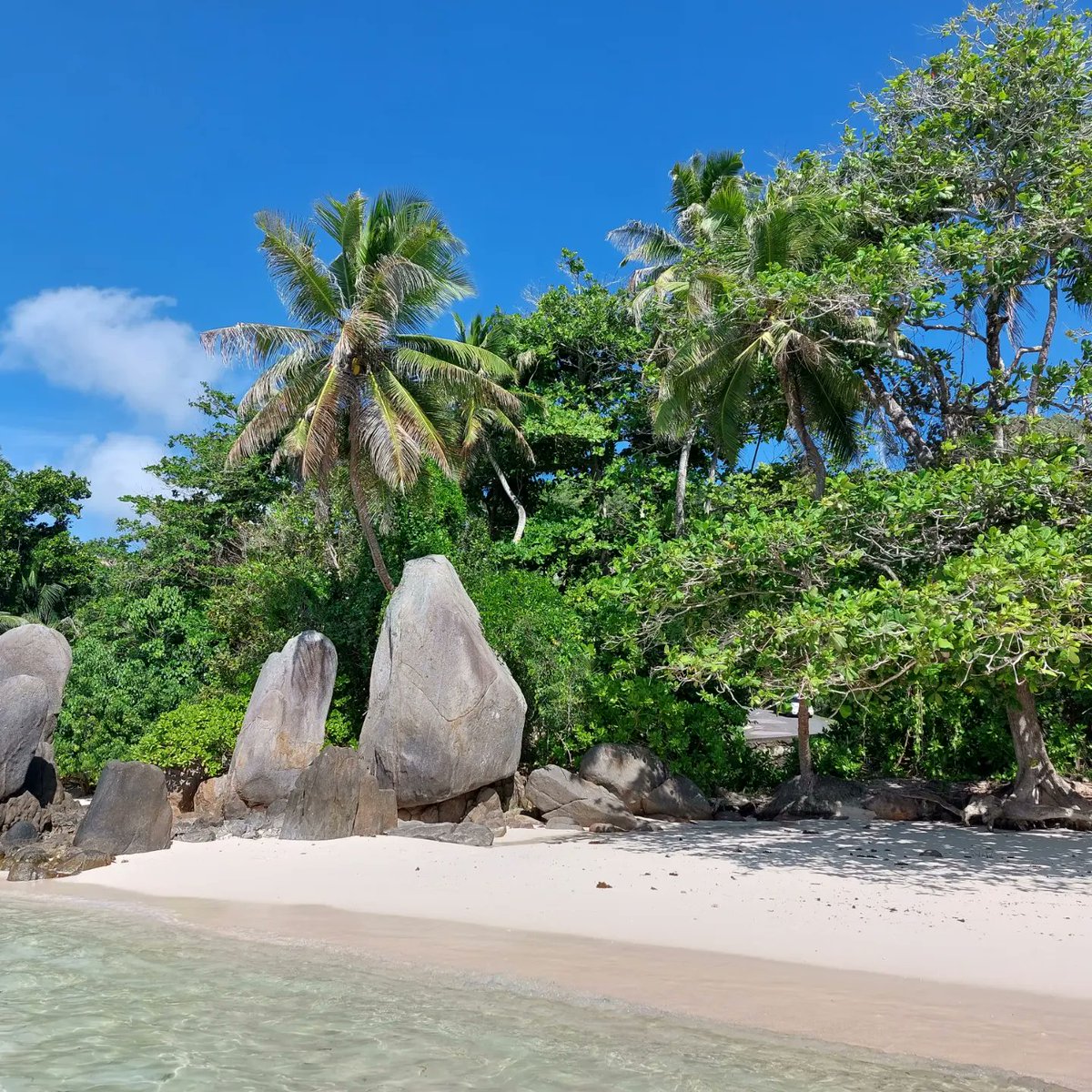 andysusanwalte1's tweet photo. Listening to a fabulous group in the Seychelles - The Dualers ://youtu.be/nNST5PbGiEI https://t.co/d4aGqtE4iD