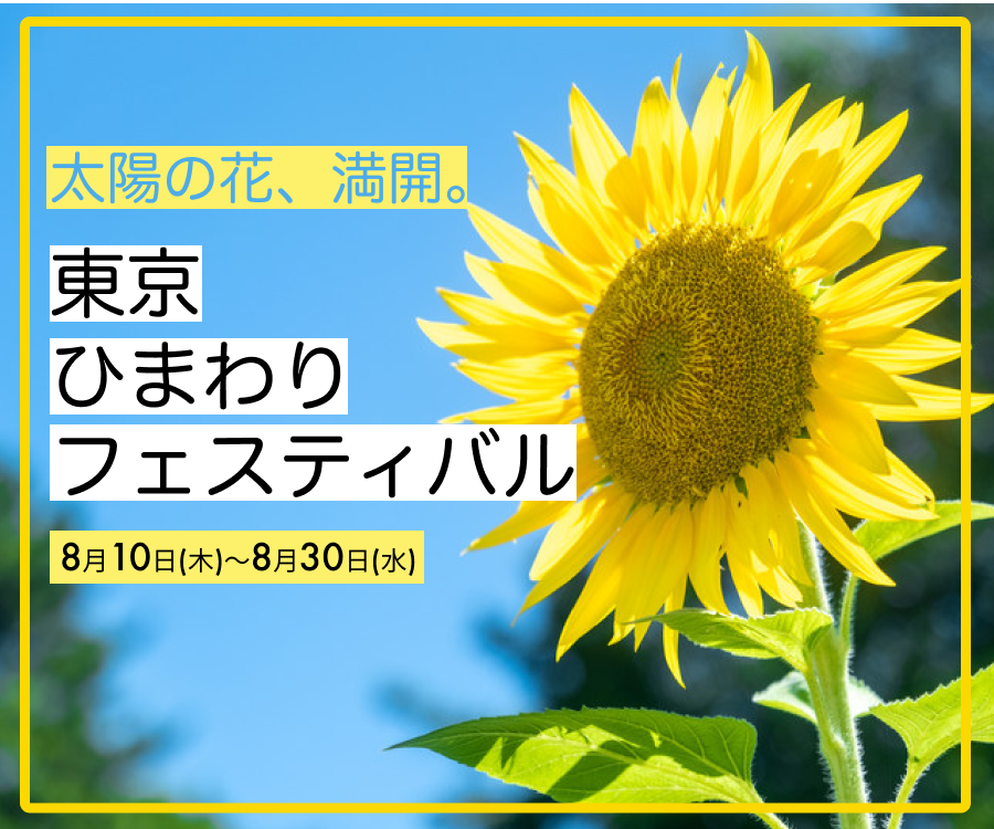 kida_ddd's tweet photo. みなさんメリークリスマス！ 時期は異なりますが、ひまわりフェスティバルのバナーを作成しました！イメージの親しみやすさや爽やかさを意識してフォントや色、あしらいなどを考えましたがまだまだ難しい！よかったら感想やアドバイスください...🙇‍♂️ #デイトラ #webデザイン https://t.co/a71OsJhALu