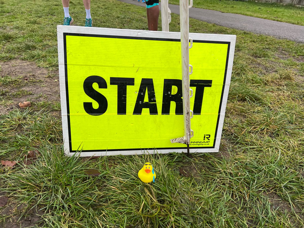 DuckDiveDuck's tweet photo. Healthy body, healthy mind. Start the day with a nice walk around a park. Excited for presents and food later. #TwelveDucksOfChristmas https://t.co/K0cwcMjioy